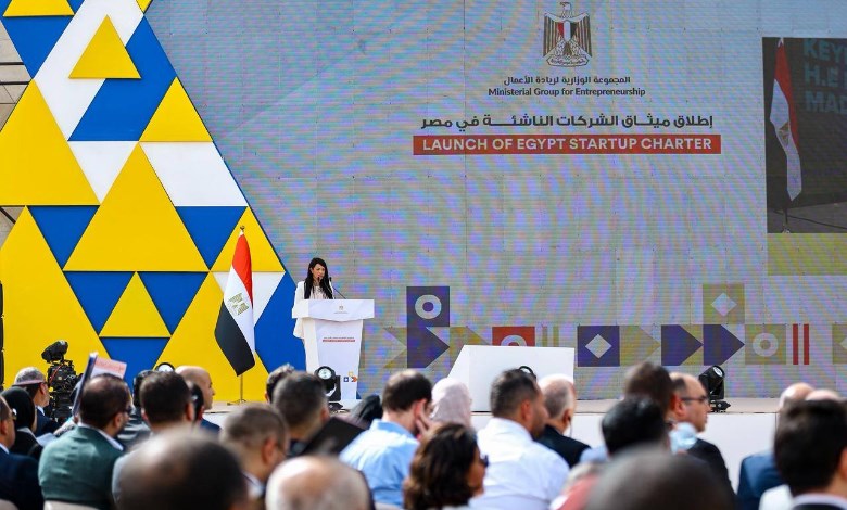 وزيرة التخطيط والتنمية الاقتصادية 