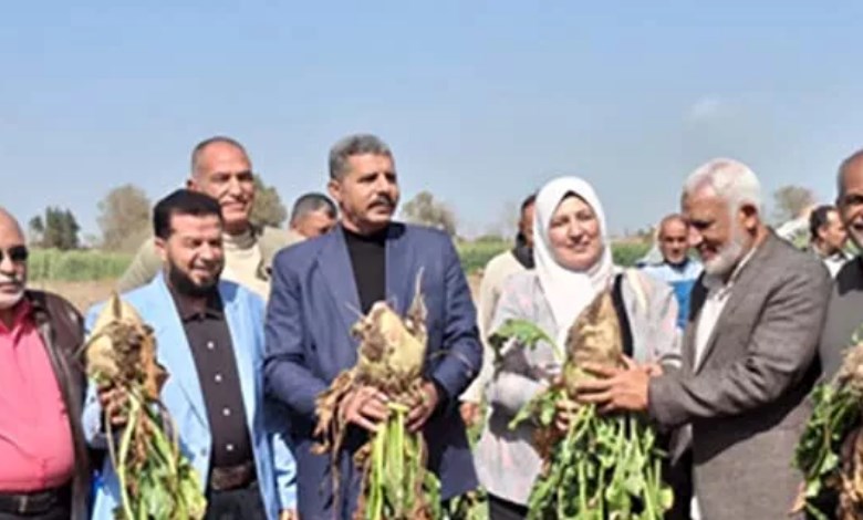 محصول بنجر السكر