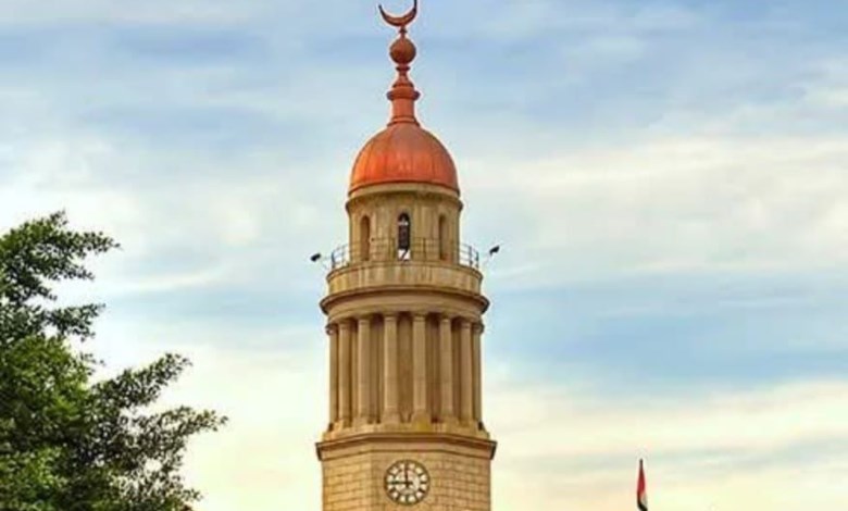 طب قصر العيني