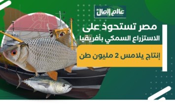 سمك