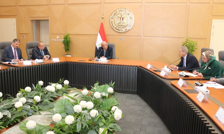 وزير الكهرباء 