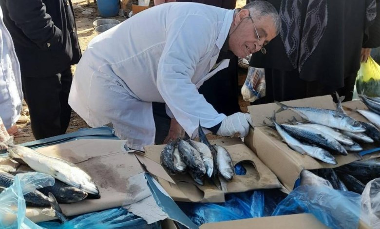 ضبط أسماك فاسدة 