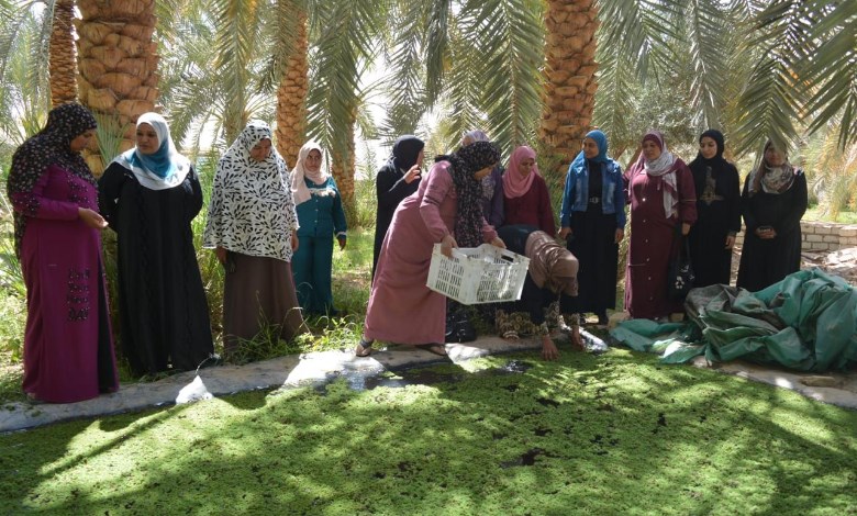 الزراعة 