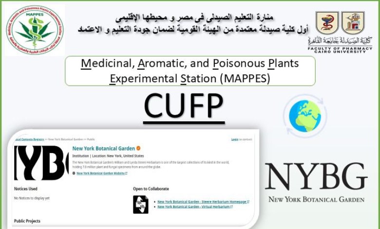 كلية الصيدلة جامعةالقاهرة