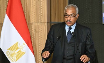 هشام طلعت مصطفى