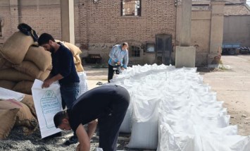 تجهيز بذور القطن 