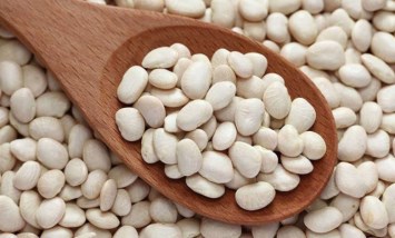 صادرات الفاصوليا 