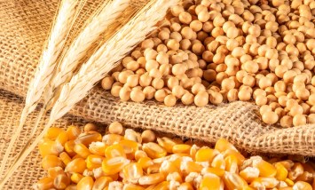 هبوط أسعار القمح والصويا والذرة