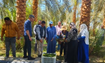 مركز بحوث الصحراء
