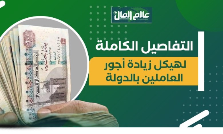 التفاصيل الكاملة لهيكل زيادة أجور العاملين بالدولة 2026 -جراف 
