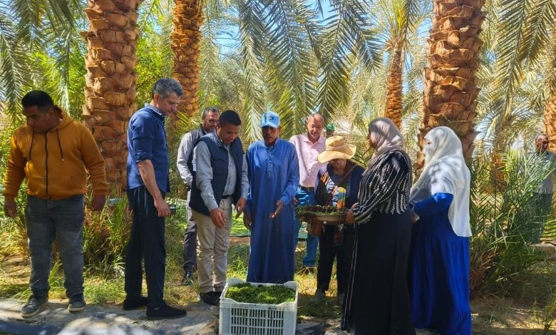 مركز بحوث الصحراء