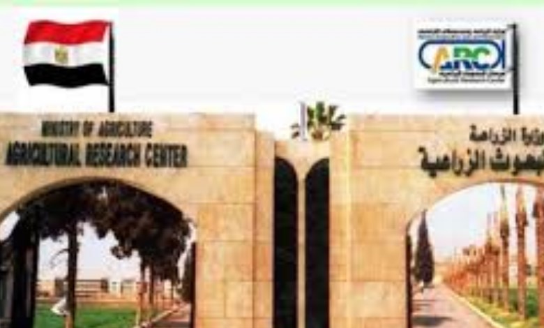 مركز البحوث الزراعية 