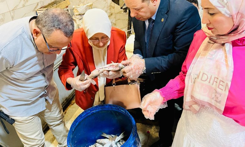 ضبط أسماك فاسدة 