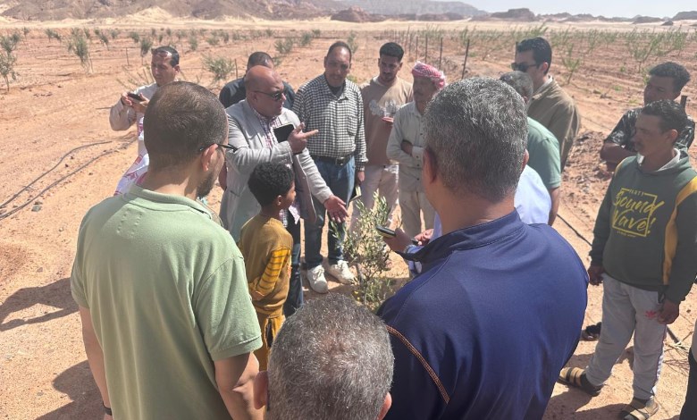 متضرري السيول بسيناء