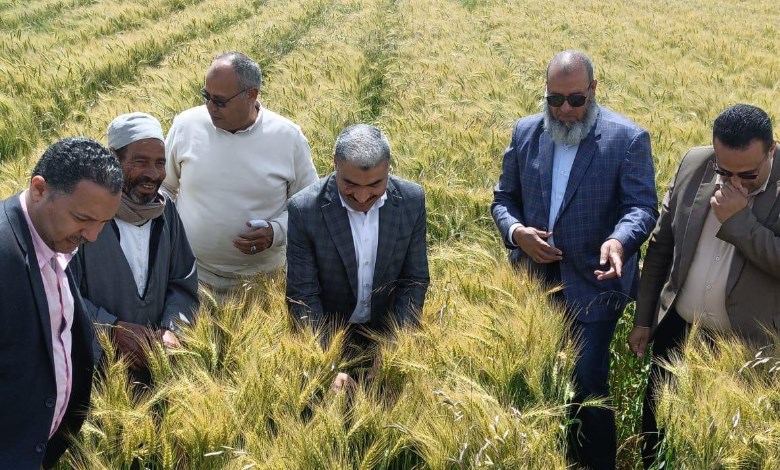 الزراعة