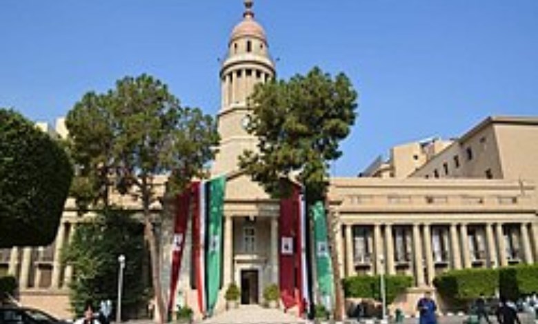 قصر العينى