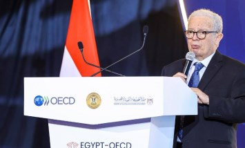 نائب رئيس الوزراء للشئون الاقتصادية