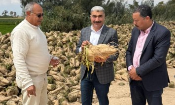 الزراعة