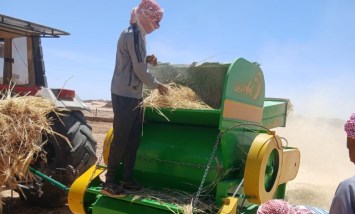 حاصد القمح والشعير