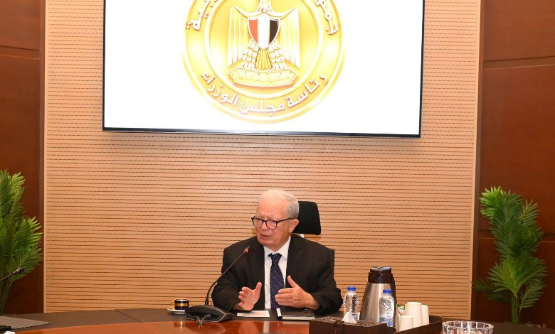 نائب رئيس مجلس الوزراء
