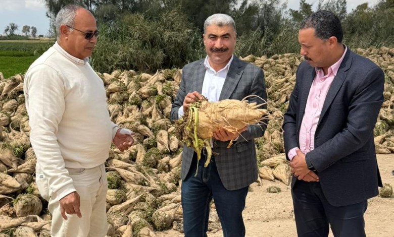 الزراعة