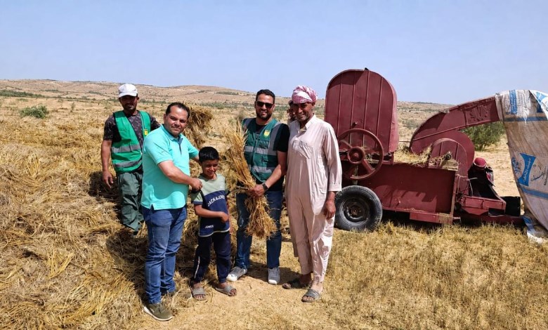 حصاد الشعير