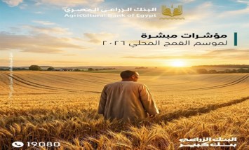 موسم القمح
