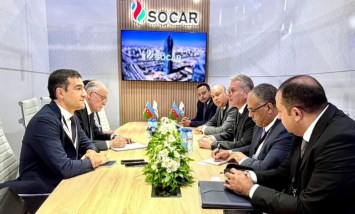 وزير البترول والثروة المعدنية