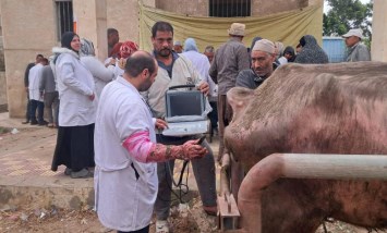 الخدمات البيطرية