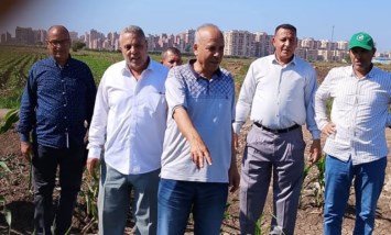 برامج تقاوي القطن 