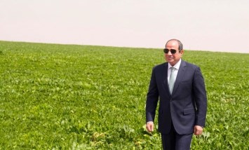  الإنجازات الزراعية