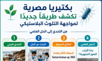 نتائج البحث