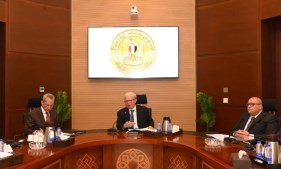 نائب رئيس مجلس الوزراء
