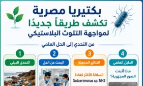 نتائج البحث