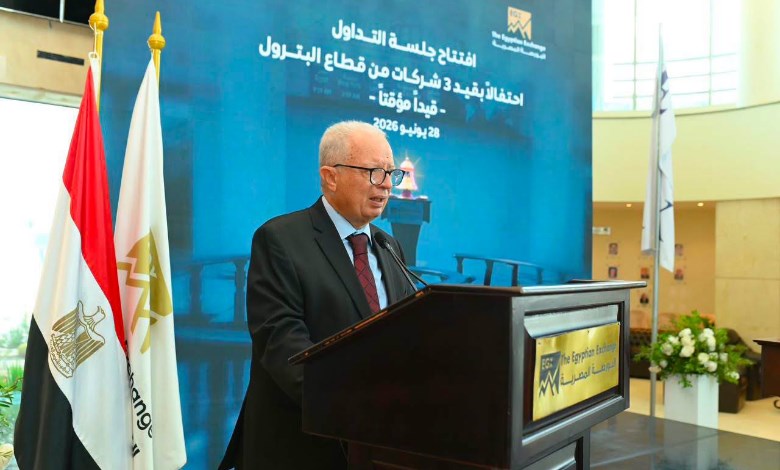 نائب رئيس مجلس الوزراء 