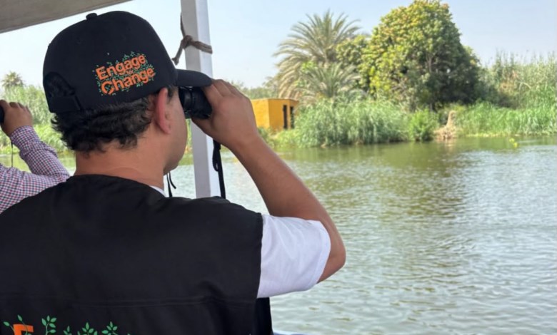اورنج