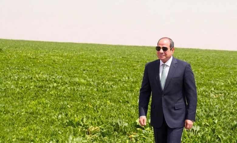  الإنجازات الزراعية