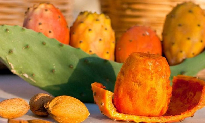 التين الشوكى