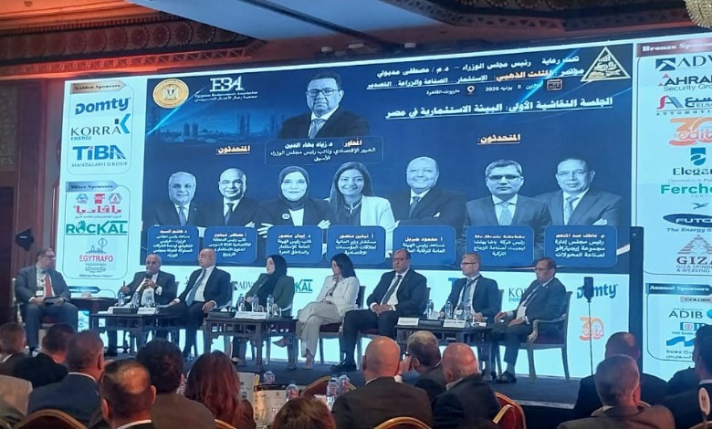 الدكتور هاشم السيد مساعد رئيس مجلس الوزراء والرئيس التنفيذي لوحدة الشركات المملوكة للدولة بمجلس الوزراء