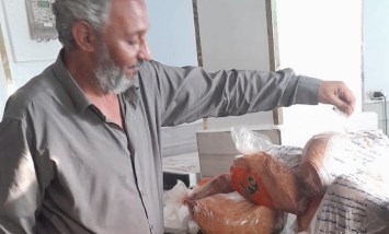 مديرية الطب البيطري