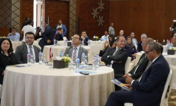 المالية 