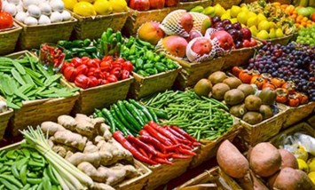 الصادرات الغذائية