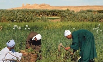 مشروع القرية المنتجة