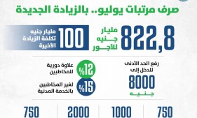المالية 