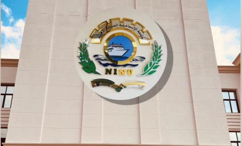 جامعة الإسماعيلية الجديدة الأهلية،