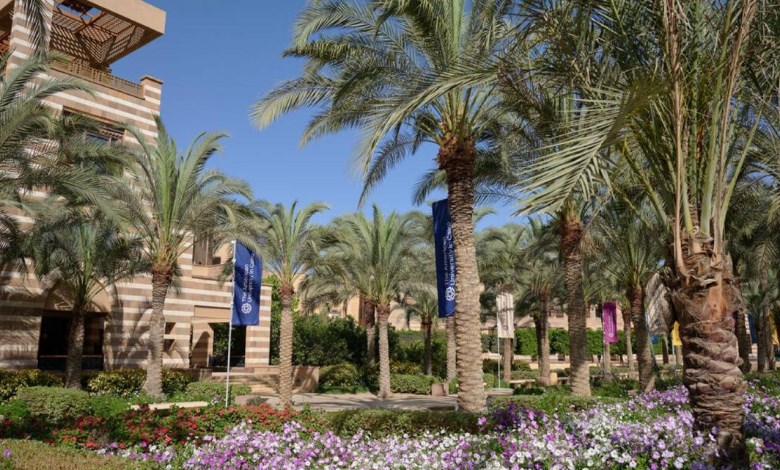 الجامعة الأمريكية بالقاهرة 
